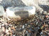 image of grave number 619364